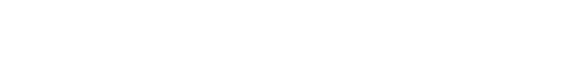 Las Vegas Hospitality Authority